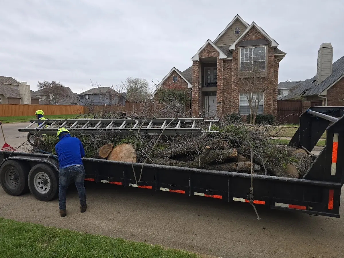 Expert Tree Fertilization with proper safety equipment in Dauphin Island